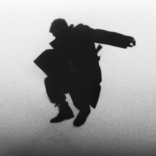 Del Water Gap: Chasing The Chimera (Vinyl LP)